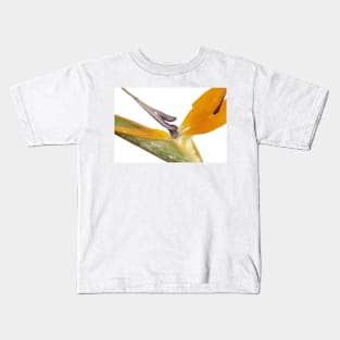 Bird of Paradise Kids T-Shirt